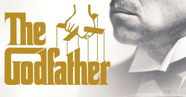 Birds in Narrative & Feature Films Are Natures Unpredictable Storytellers